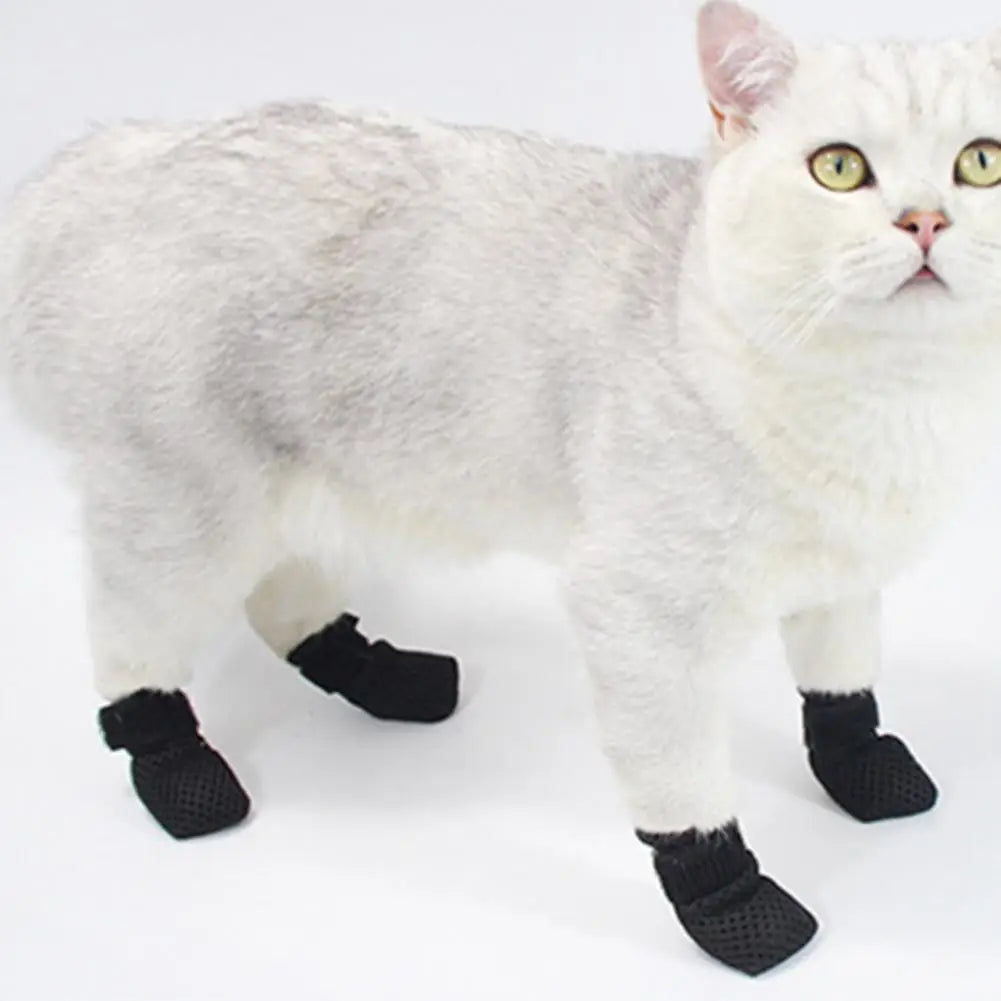 Cat Socks Anti-Scratch 4pcs